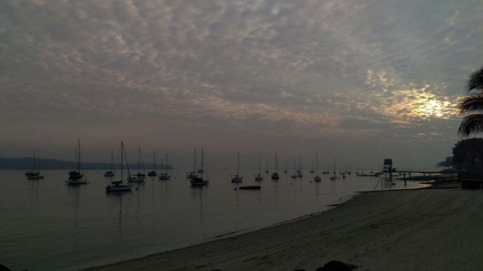 天色逐渐亮起，可见在海岸彻夜停靠的数十艘船只。（摄影/李毅思）