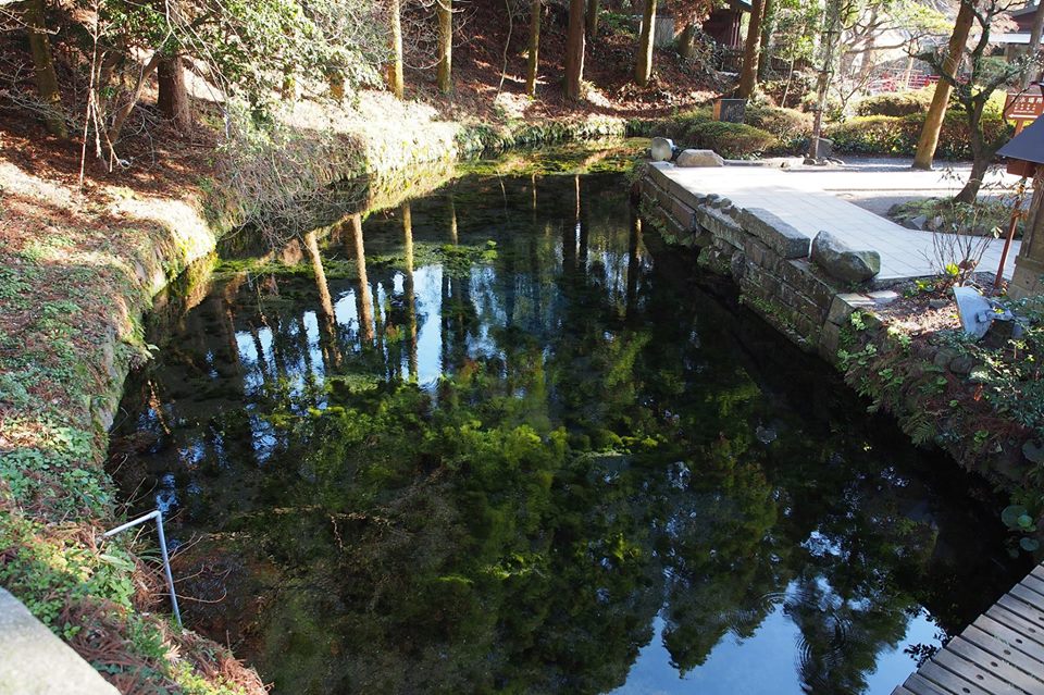 清澈的白川水源非常干净，前来的游客都能直接饮用。（陈思源摄于日本）