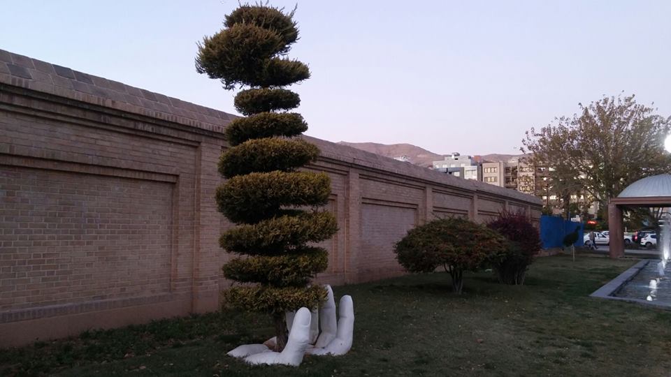 小树底端伸出的白色手掌，会不会象征他人多年前用心栽培，扶持它茁壮成长呢？（摄影/陈莹纮）