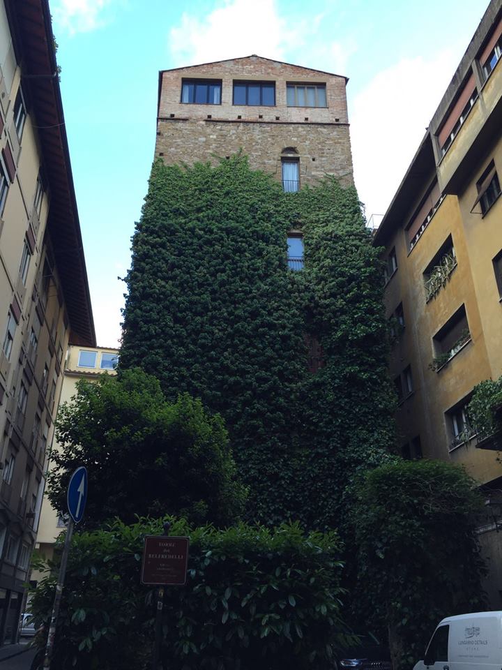 再过不久，整栋建筑物要被植物覆盖了。（赖凌杉摄于法国巴黎）