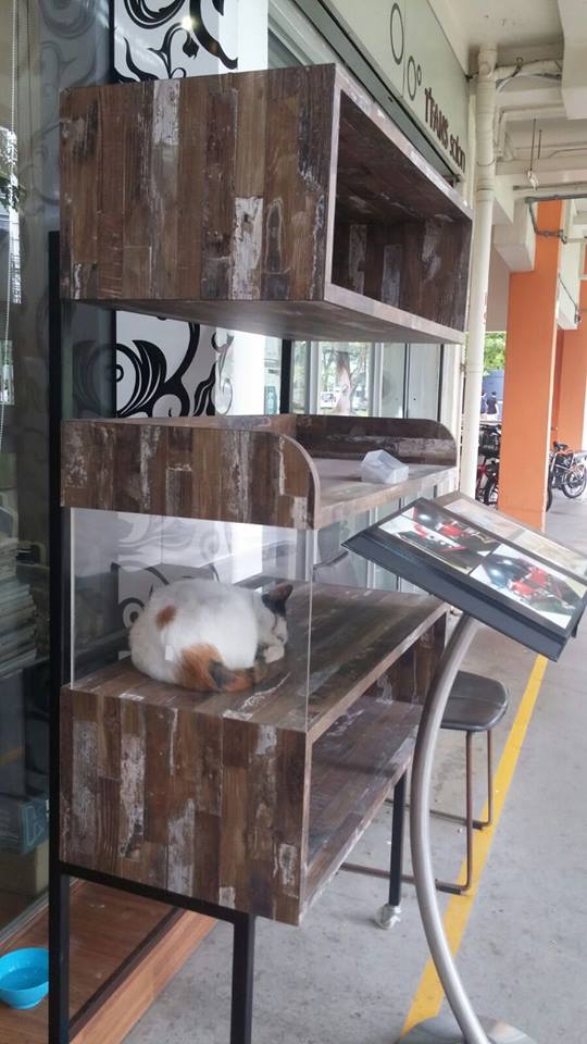 我今天有拿假，可以迟些醒来，享受长周末……（设计对白）（摄影/陈莹纮）
