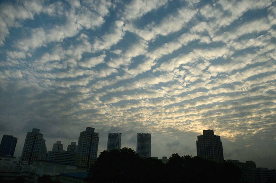 天空时而出现一条条齐排列着的震云，你会否抬头欣赏呢？（摄影/蔡振鸿）