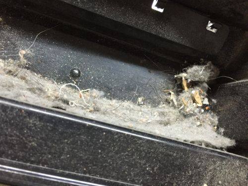有一种造成眼鼻喉不适的病症，叫做“建筑物病态综合征”,造成这综合征的最常见的是灰尘、尘螨、清洁剂、黏壁纸的浆糊、复印机所用的化学物。