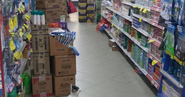 我应该购买什么品牌的牙膏呢？（设计对白）（摄影/陈莹纮）